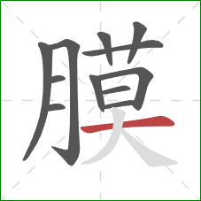 膜的笔顺第12画：横