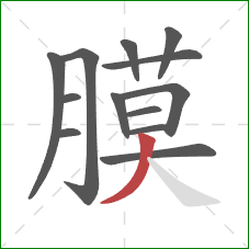 膜的笔顺第13画：撇