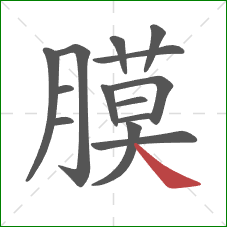 膜的笔顺第14画：捺