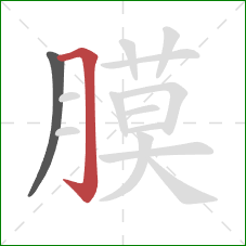 膜的笔顺第2画：横折钩