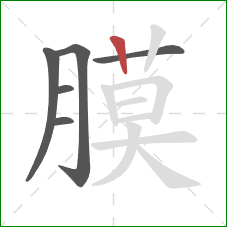 膜的笔顺第6画：竖