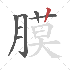 膜的笔顺第7画：竖