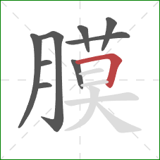 膜的笔顺第9画：横折