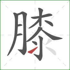 膝的笔顺第13画：提