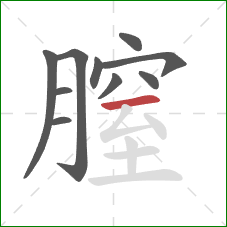 膣的笔顺第10画：横