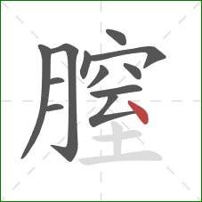 膣的笔顺第12画：点