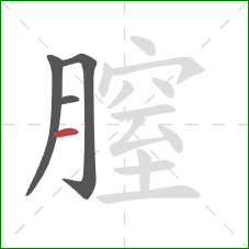 膣的笔顺第4画：横