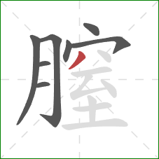 膣的笔顺第8画：撇