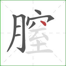 膣的笔顺第9画：点