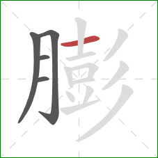 膨的笔顺第5画：横