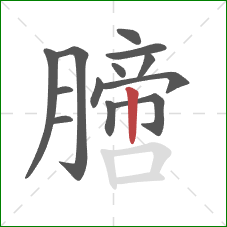 膪的笔顺第13画：竖