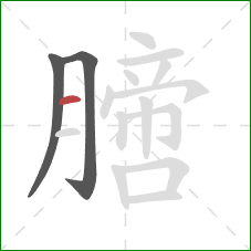 膪的笔顺第3画：横