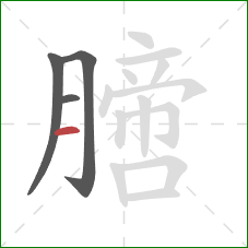 膪的笔顺第4画：横