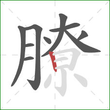 膫的笔顺第10画：竖