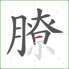 膫的笔顺第12画：横