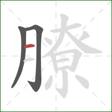 膫的笔顺第3画：横