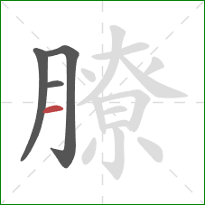 膫的笔顺第4画：横