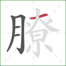 膫的笔顺第5画：横