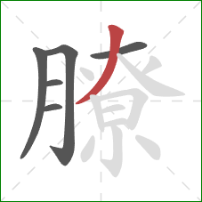 膫的笔顺第6画：撇