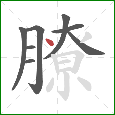 膫的笔顺第8画：点