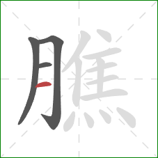 膲的笔顺第4画：横