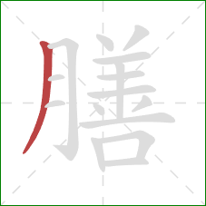 膳的笔顺第1画：撇