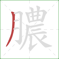 膿的笔顺第1画：撇