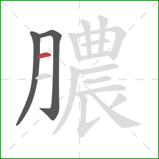 膿的笔顺第3画：横