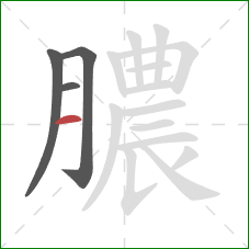 膿的笔顺第4画：横