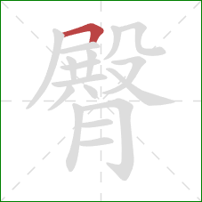 臀的笔顺第1画：横折