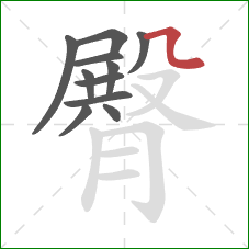 臀的笔顺第11画：横折弯