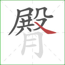 臀的笔顺第13画：捺