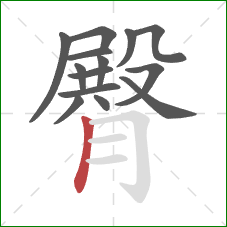 臀的笔顺第14画：竖