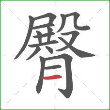 臀的笔顺第17画：横