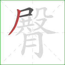 臀的笔顺第3画：撇