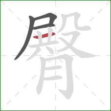 臀的笔顺第4画：横