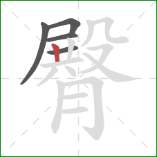 臀的笔顺第5画：竖