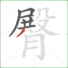 臀的笔顺第8画：撇