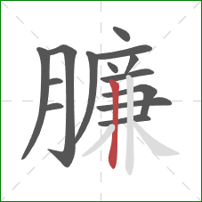 臁的笔顺第14画：竖