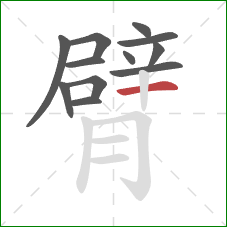 臂的笔顺第12画：横