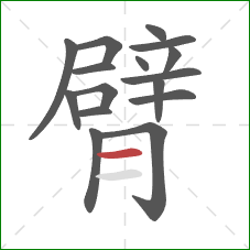 臂的笔顺第16画：横