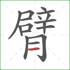 臂的笔顺第17画：横