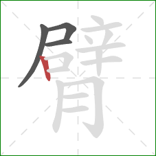 臂的笔顺第4画：竖