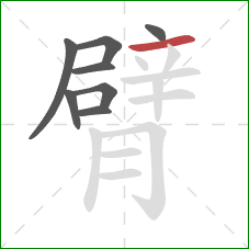 臂的笔顺第8画：横