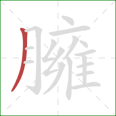 臃的笔顺第1画：撇