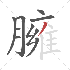 臃的笔顺第10画：撇