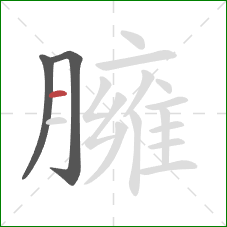 臃的笔顺第3画：横