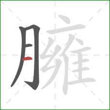 臃的笔顺第4画：横