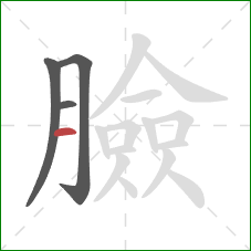 臉的笔顺第4画：横