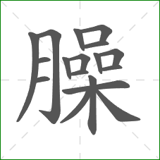 臊的笔顺 臊的笔顺